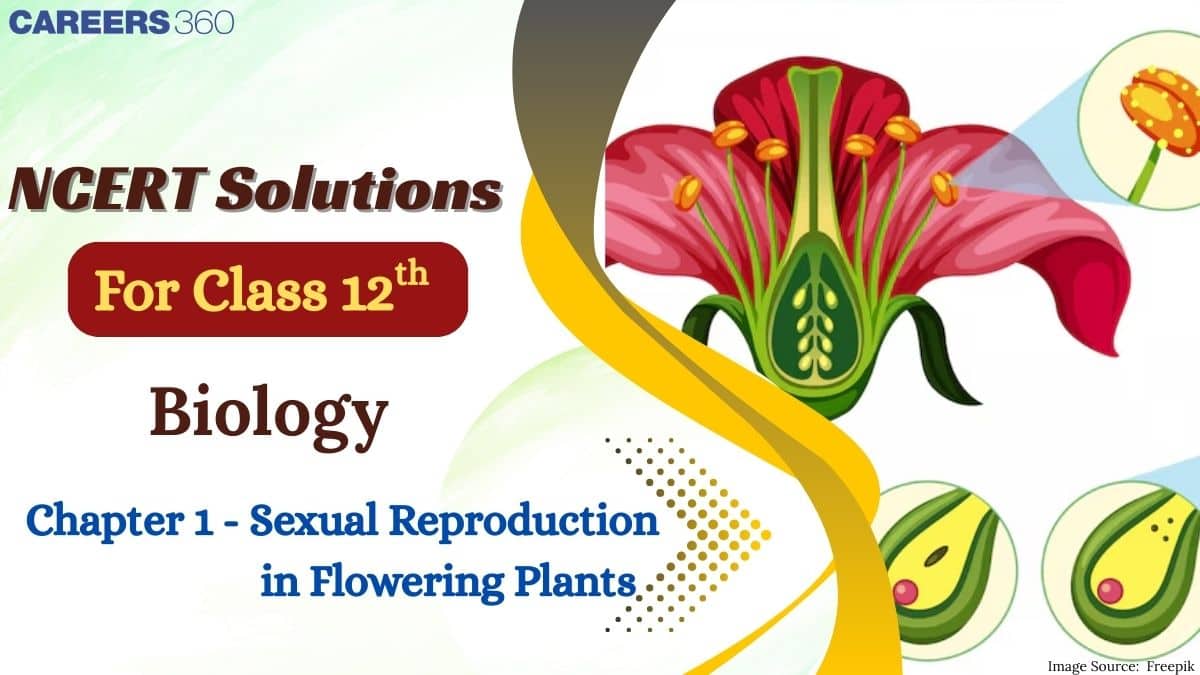 NCERT Solutions for Class 12 Biology Chapter 1 Sexual Reproduction in Flowering Plants
